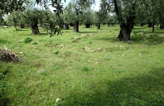 For Sale &#8211; Land 4250 m² in Macedonia