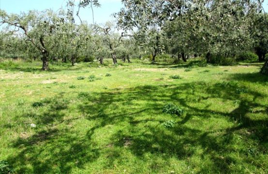 For Sale &#8211; Land 380 m² in Macedonia