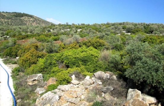 For Sale &#8211; Land 9200 m² in Macedonia