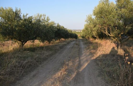 For Sale &#8211; Land 2300 m² in Thessaloniki